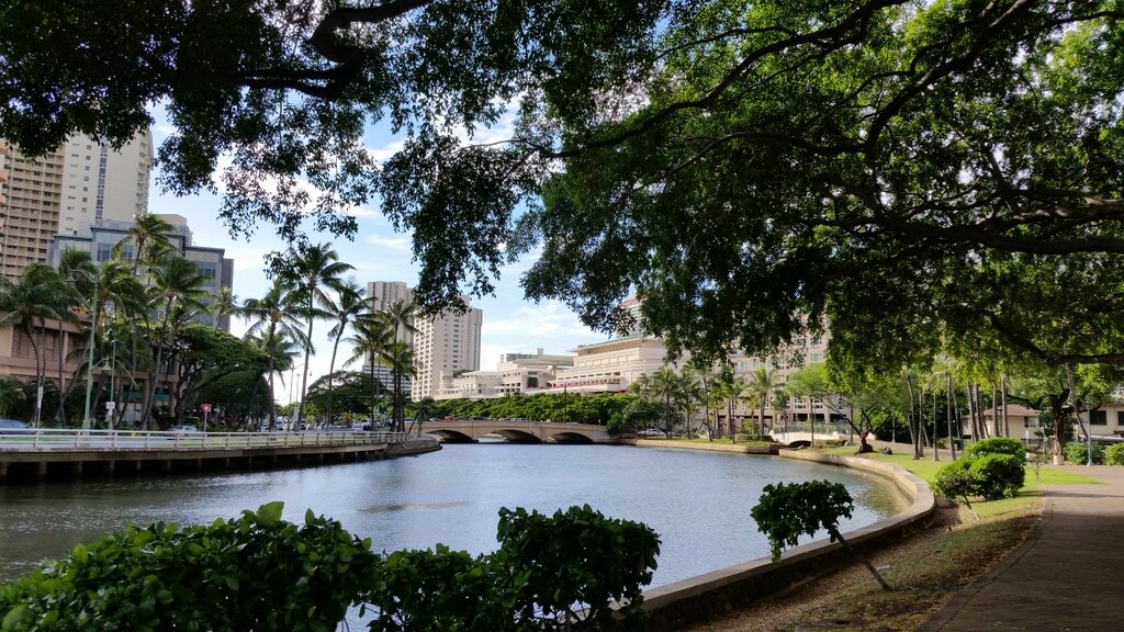 Tree-lined Ala Wai Promenade curving beside the canal