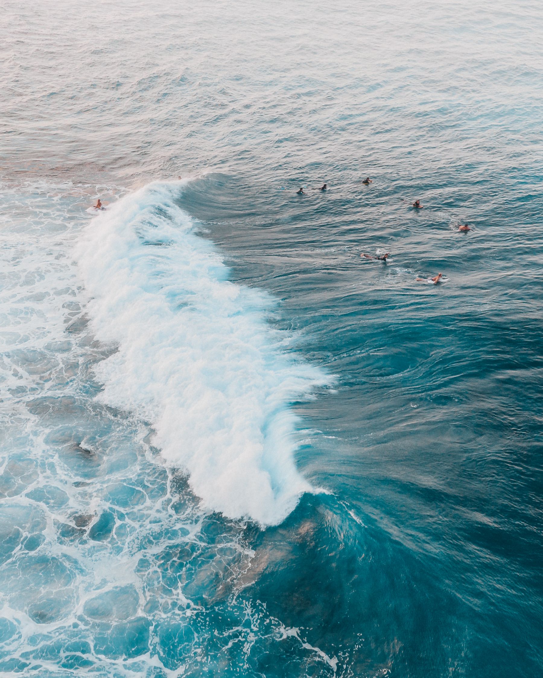 Aerial view of waves and surfers in Waikiki